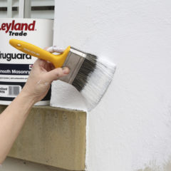 Exterior Wall Paints