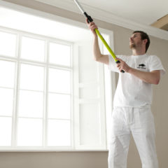 Interior Wall & Ceiling Paints